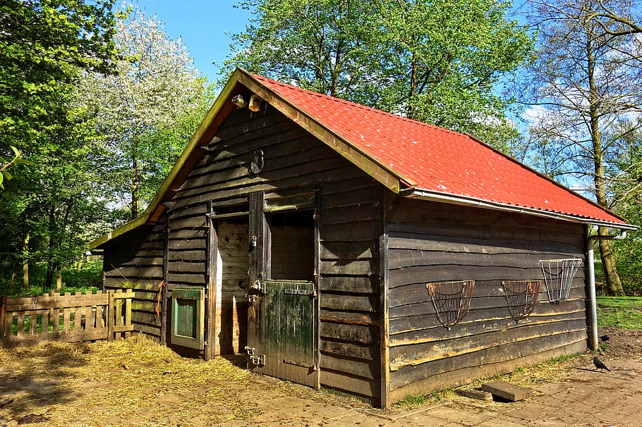 brown wooden house beside trees at daytime, barn, stable, shed