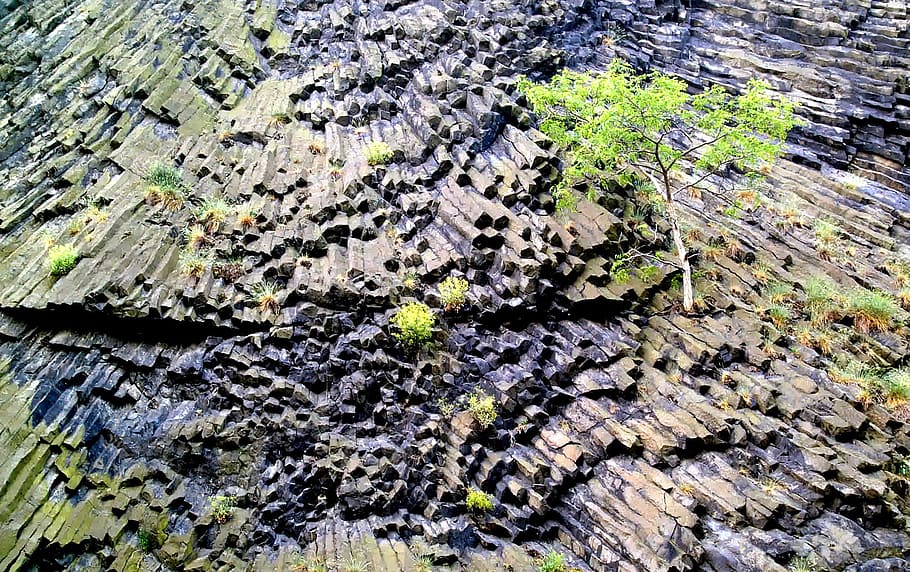 Basalt, Igneous Rock, Plants, Life, textured, outdoors, no people HD wallpaper