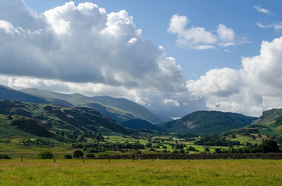 landscape, spring, summer, england, green, nice, tree, nature HD wallpaper