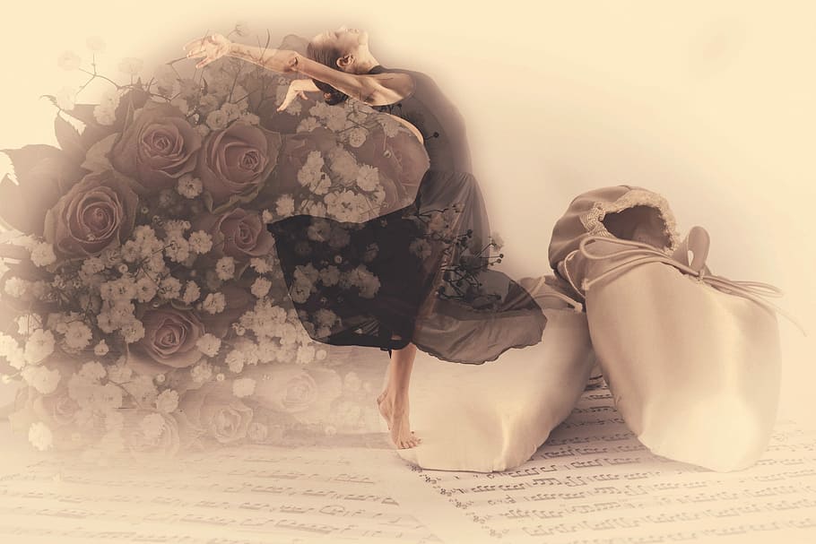 pair of gray silk flats, ballet, roses, elegance, classical HD wallpaper