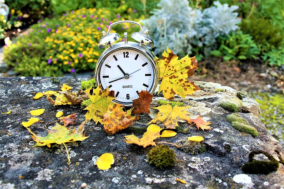 bell alarm clock displaying 10:41 time, vanishing, autumn, time passes HD wallpaper