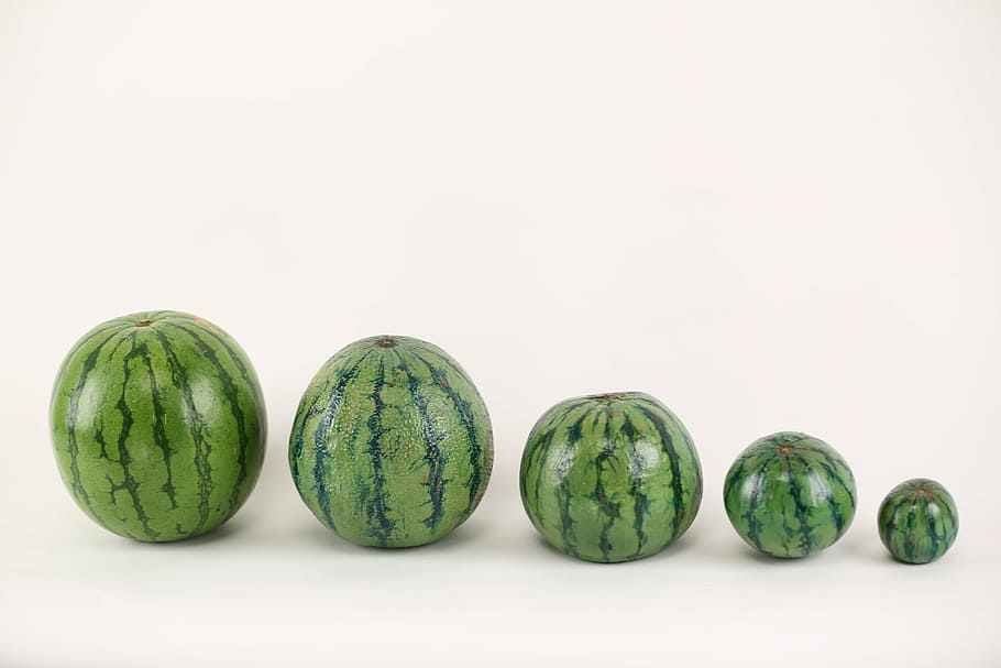 five green watermelon fruits on white surface, illusion, paint HD wallpaper