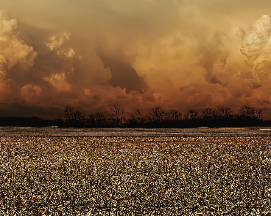 storm, storm clouds, scenery, trees, artistic, art print, digital art HD wallpaper