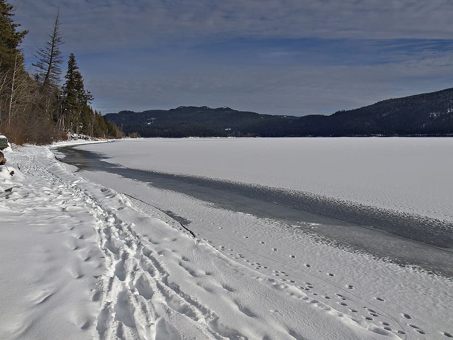 Winter, Scenery, Trees, Cold, Snow, landscape, frozen, lake HD wallpaper
