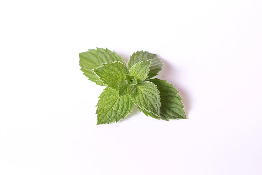 green mint leaf, food, tea, plant part, herb, food and drink HD wallpaper