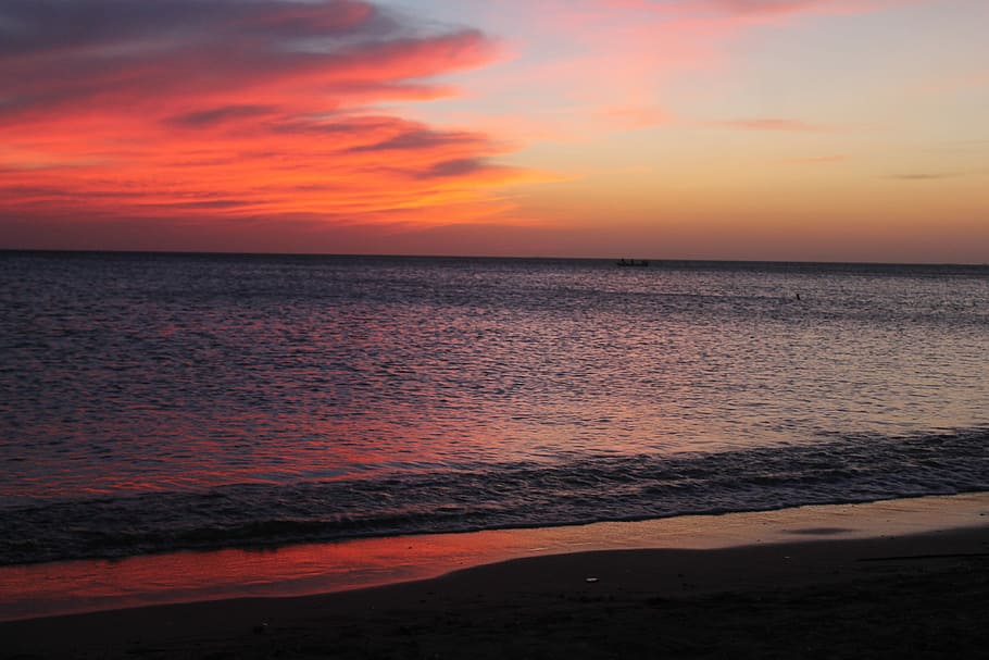 beach shore during golden hour, sea, ocean, water, sunset, horizon HD wallpaper