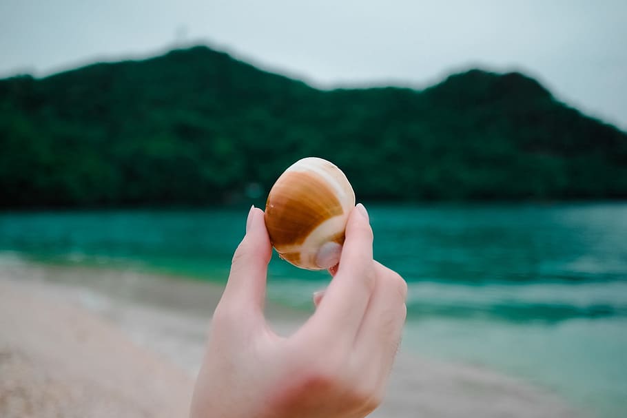 sea, ocean, water, wave, nature, beach, coast, shore, blur HD wallpaper