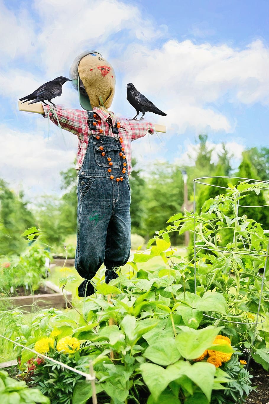 scarecrow near green plants during daytime, scare crow, crows HD wallpaper