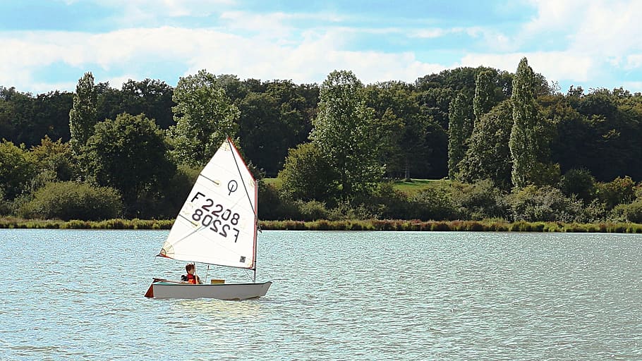 ponds, navigation, boat, sailing, france, water, tree, plant HD wallpaper