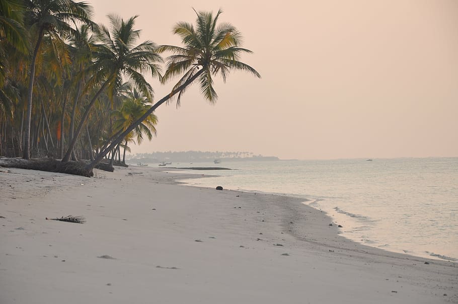 2560x1600px Free Download Hd Wallpaper Beach India Lakshadweep