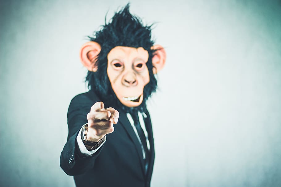 black suit jacket with monkey face illustration, application