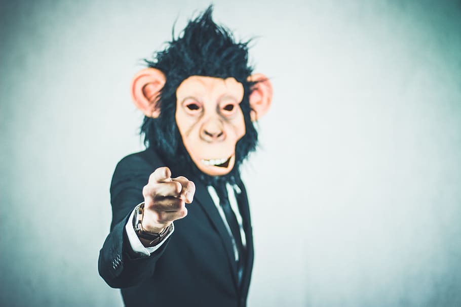 black suit jacket with monkey face illustration, application HD wallpaper