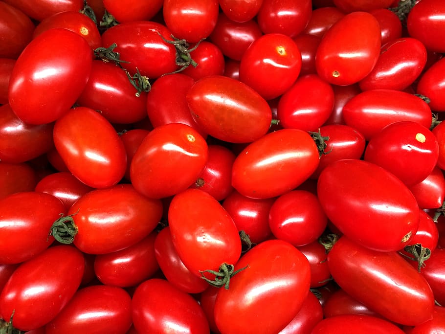 cherry tomato, vegetable, red, tomatoes, food and drink, healthy eating HD wallpaper