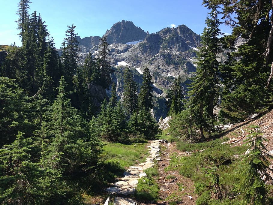 Mountains, Path, Nature, Wood, Landscape, tree, walk, outdoor HD wallpaper