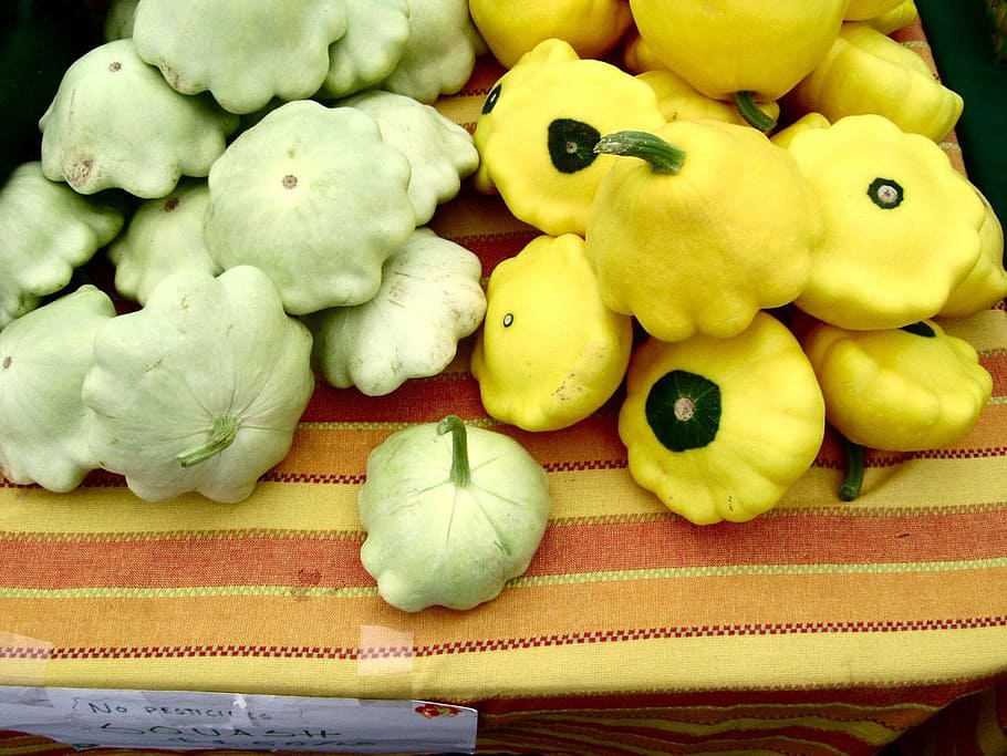 squash, vegetable, pumpkin, vegetarian, fresh, healthy, seasonal HD wallpaper
