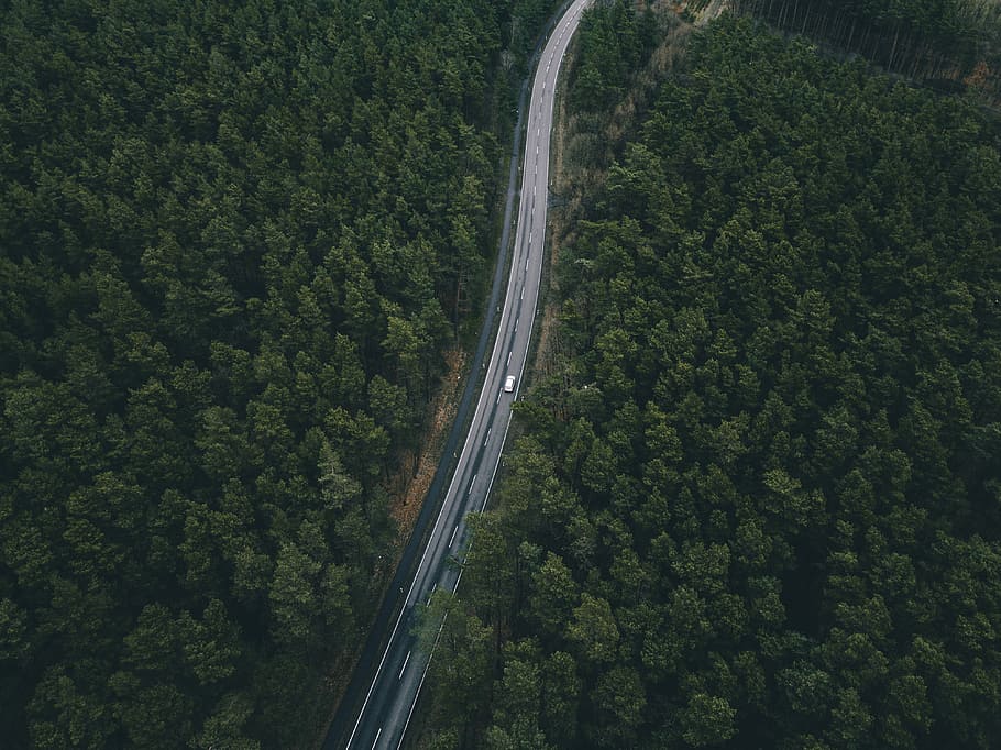 birds eye photography of white vehicle on road, aerial view of road surrounded by trees