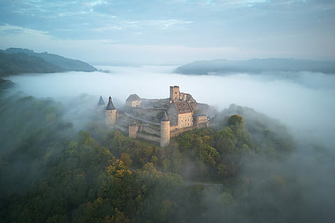 celestial castle, aerial photo of castle, fog, forest, tree, mountain HD wallpaper