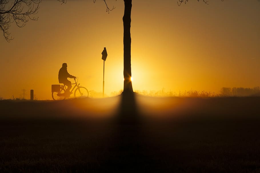 silhouette of person riding bicycle, sunrise, winter, tree HD wallpaper