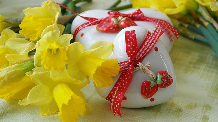yellow daffodil flowers beside heart figurines, love gift, daffodils HD wallpaper