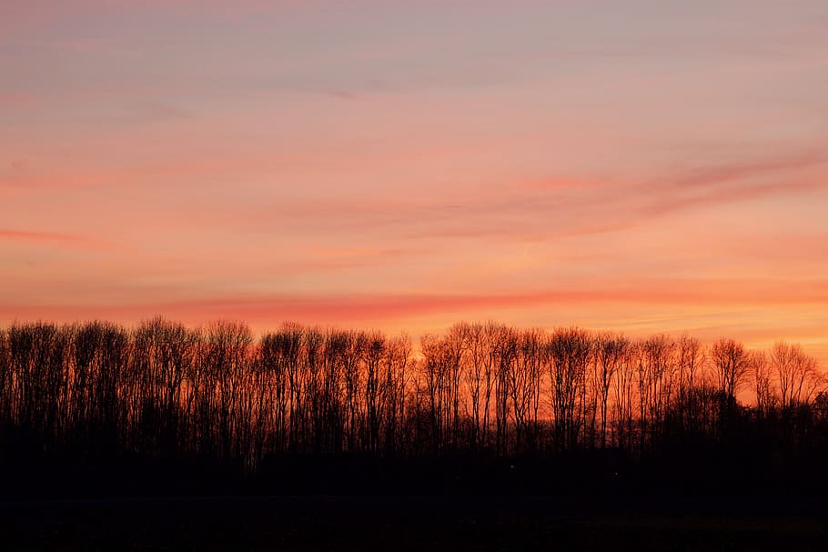 evening red, sunset, evening sky, colorful sunset, setting sun HD wallpaper