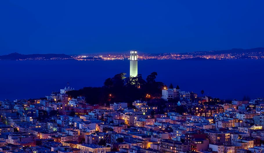 aerial view photo of lighted buildings, coit tower, san francisco, HD wallpaper