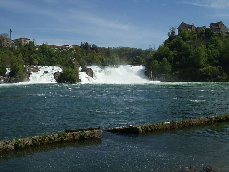 rhine falls, schaffhausen, waterfall, river, germany, beauty in nature, HD wallpaper