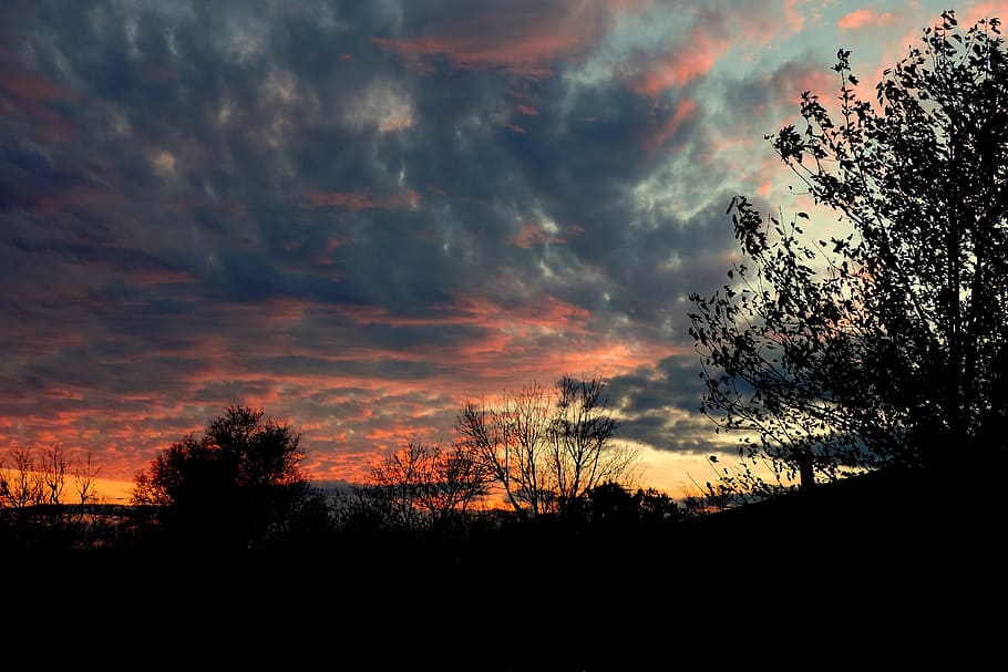sky, sunset, stormy, trees, weather, cloudy, orange, gray, mystical HD wallpaper