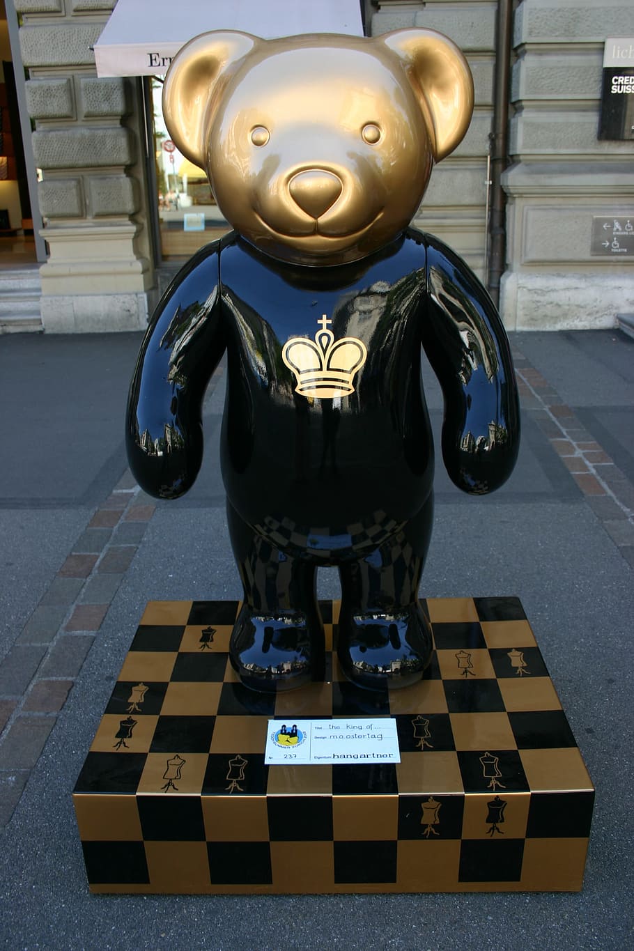 zurich-bears-bear-animal.jpg