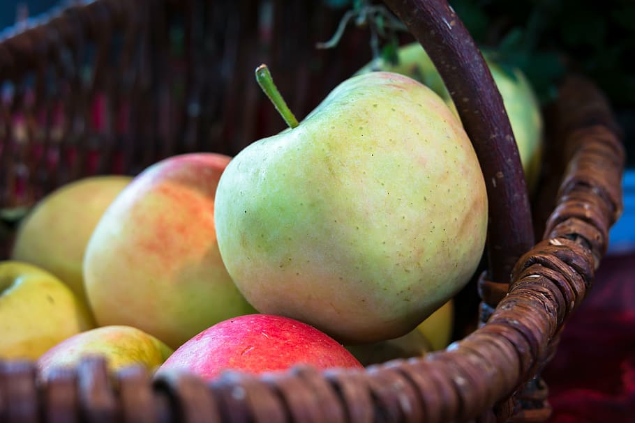 apple, basket, thanksgiving, fruit, harvest, healthy, food HD wallpaper