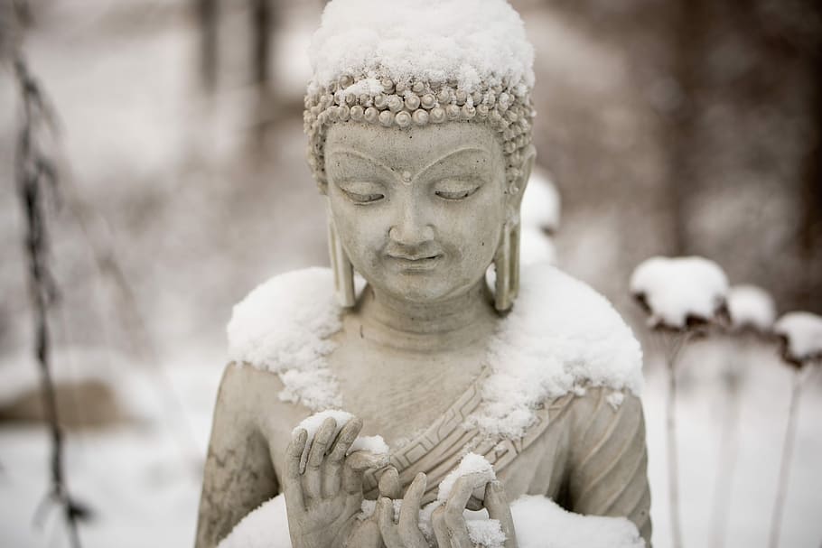 Buddha statue, selective focus photography of meditating Buddha statue, HD wallpaper