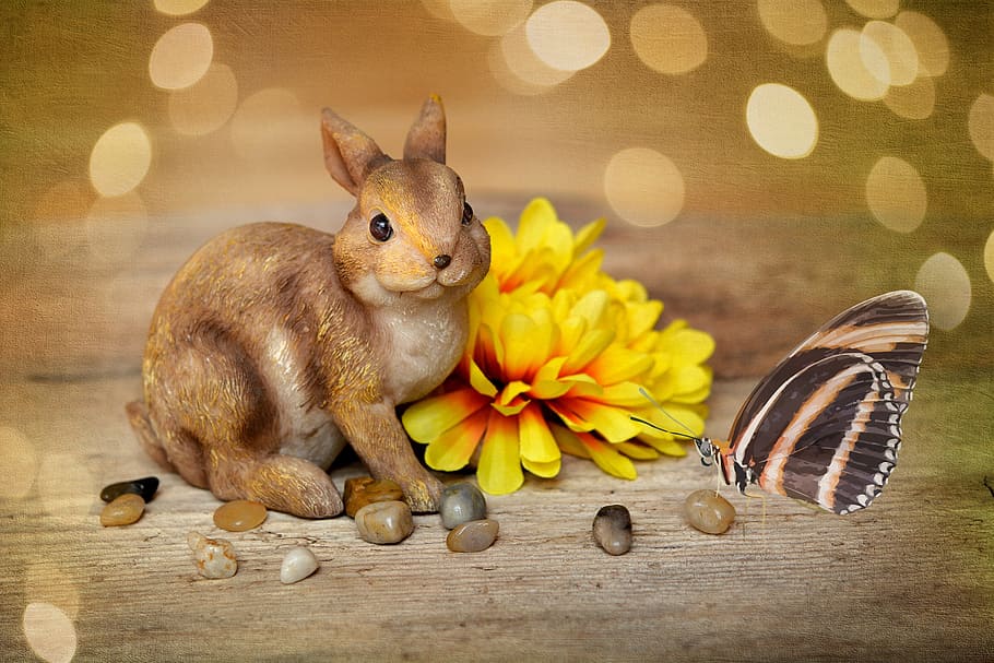 hare, easter bunny, dekohase, flower, blossom, bloom, fabric flower HD wallpaper