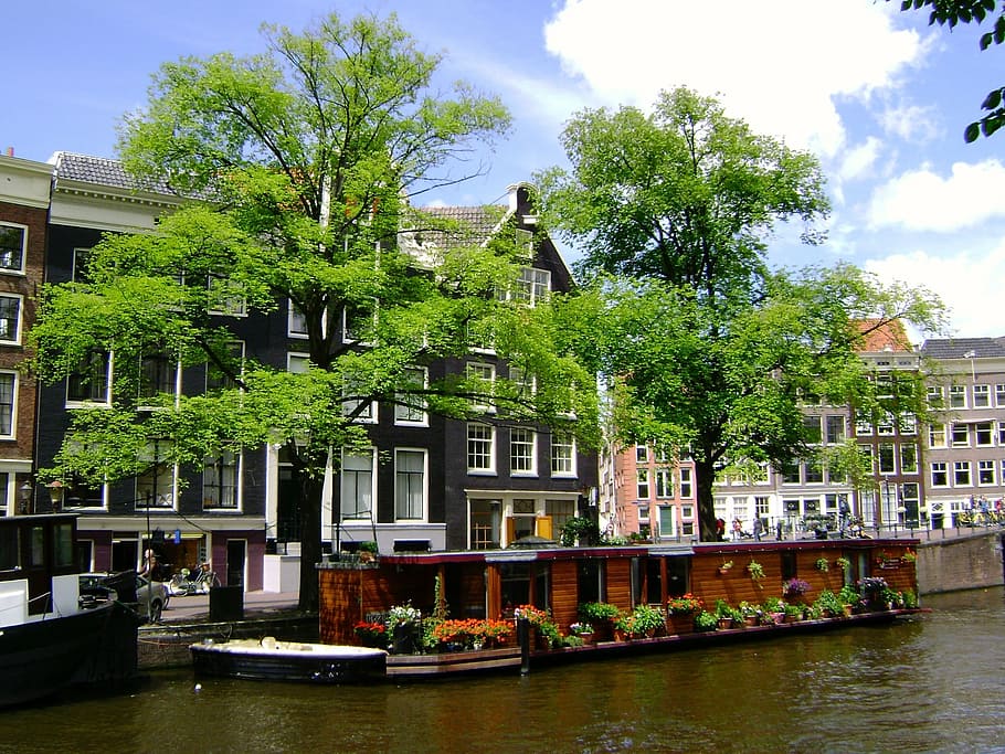 tree, boat, river, canal, amsterdam, water, nature, green, summer HD wallpaper