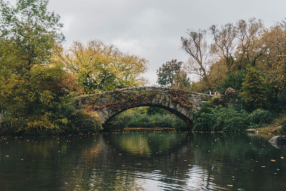bridge under body of water, gray bridge over river, lake, arch HD wallpaper