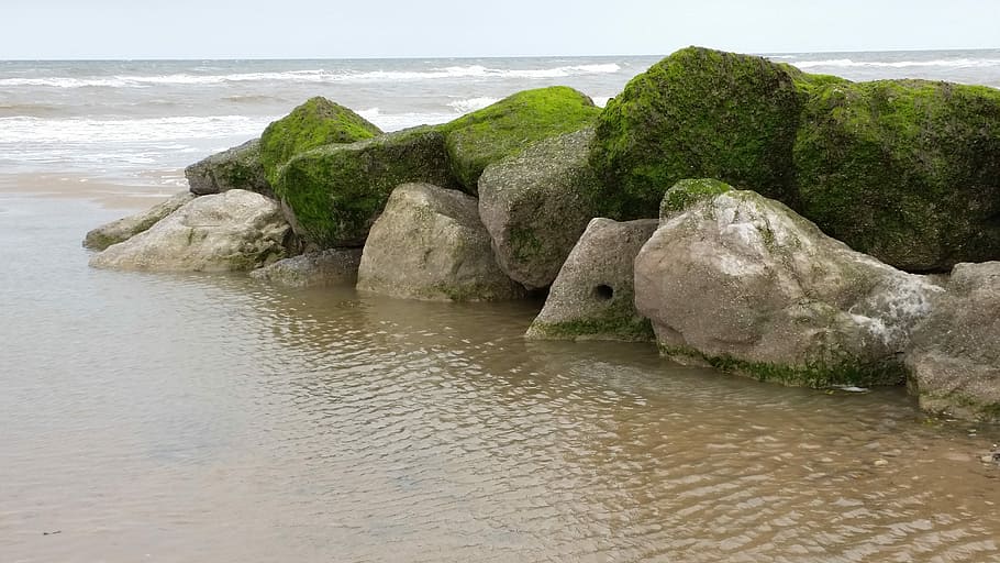 Shore, Sea, Beach, water, reflection, nature, no people, tranquility HD wallpaper