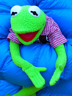 Kermit, Frog, Doll, Green, Blue, rag doll, bed, child, childhood HD wallpaper