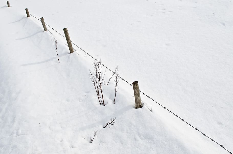 snow, snowfall, white, cold, seasons, december, january, christmas HD wallpaper