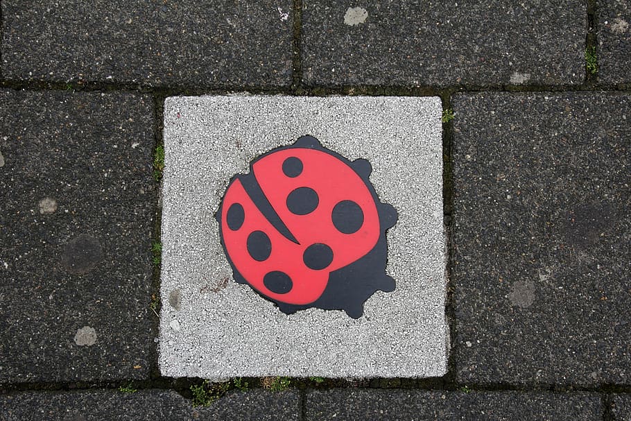 concrete slab, deco, ladybug, no people, high angle view, footpath HD wallpaper