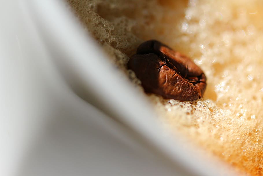 coffee, coffee grain, cup, selective focus, food and drink HD wallpaper