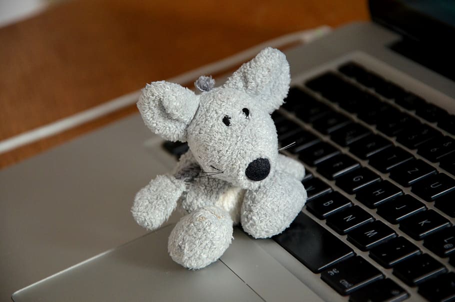 gray ray plush toy on laptop computer, mouse, soft toy, office HD wallpaper