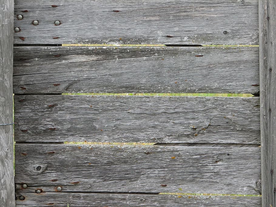 gray wooden board, background, texture, weathered, gate, cracks HD wallpaper