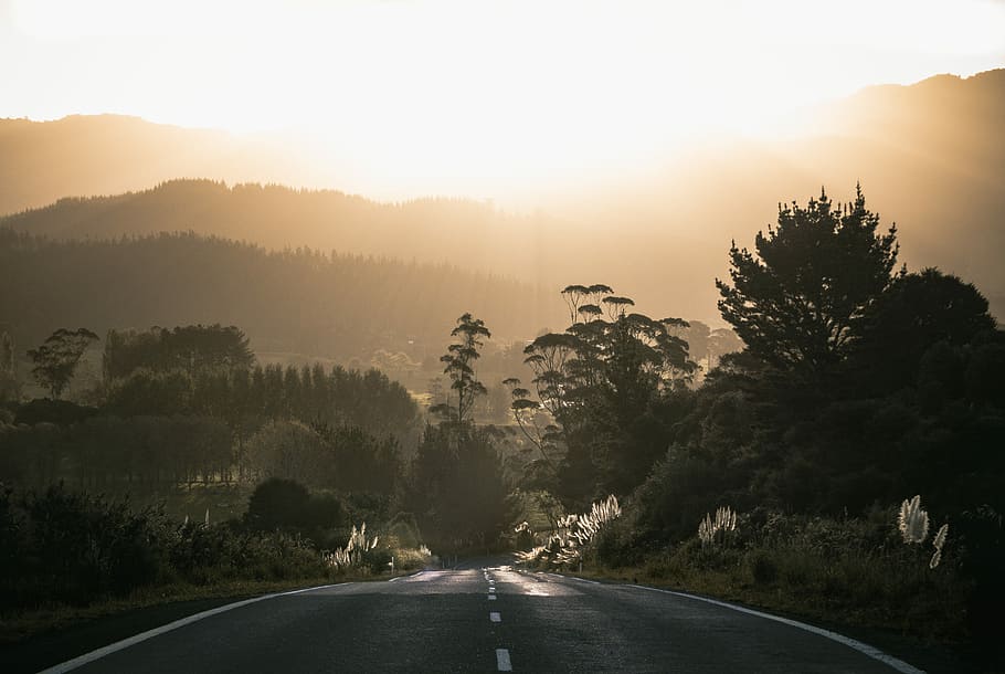 concrete road surrounded by trees, sunlight on mountain view from road HD wallpaper