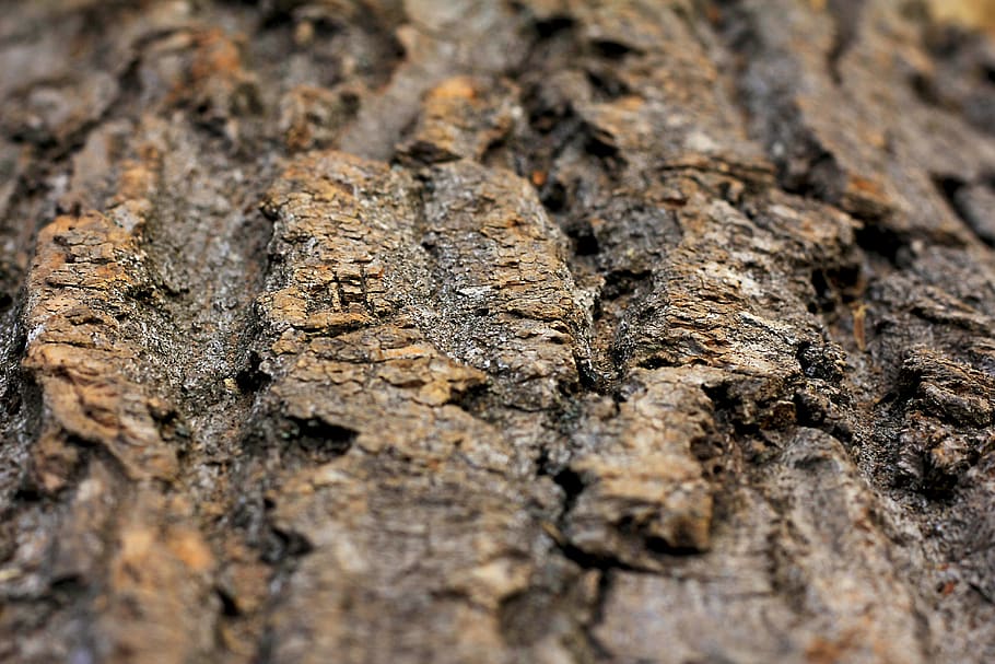 rough, nature, textile, pattern, texture, abstract, old, bark HD wallpaper