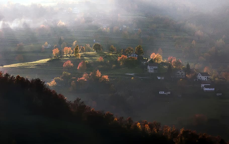 House on Green Hills With Trees Painting, backlit, blur, clouds HD wallpaper