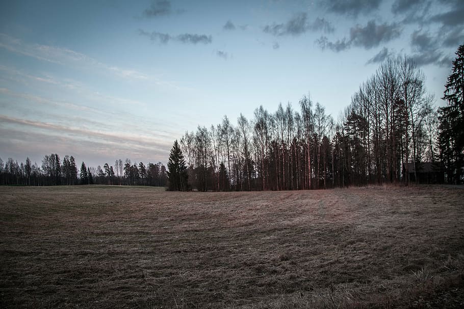 field, dark, landscape, nature, dramatic, natural, rural, grass HD wallpaper