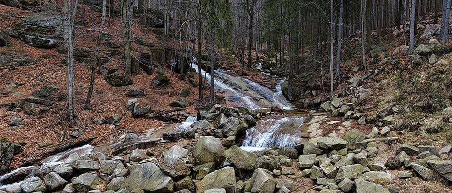 Stream, Jizera Mountains, Water, outdoors, no people, day, nature HD wallpaper