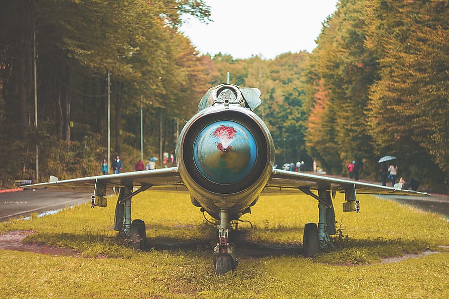 plane, park, autumn, rain, nature, photo, trees, golden autumn HD wallpaper