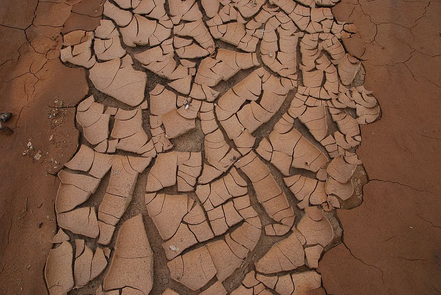 Drought, Mud, Dry Land, cracked, damaged, textured, brown, arid climate HD wallpaper