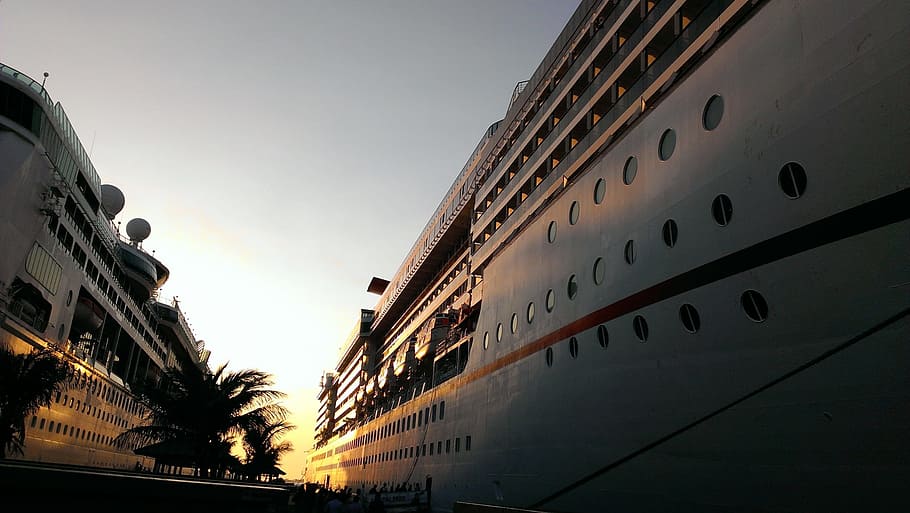 white cruise ship during golden hour, cruising, ships, palm HD wallpaper
