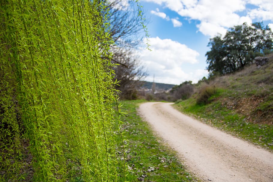hiking, nature, spain, plant, road, sky, landscape, transportation HD wallpaper