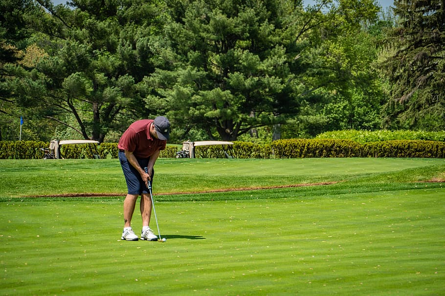 golf, golf course, putting, plant, green color, tree, leisure activity HD wallpaper